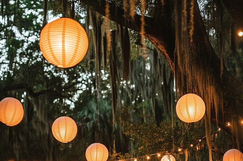 Lumières romantiques accrochées aux arbres
