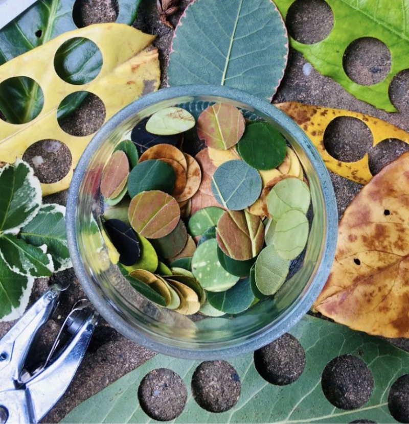 Confettis mariage feuilles eco reponsables